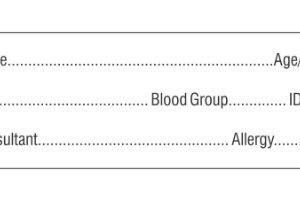 Patient Id band White India
